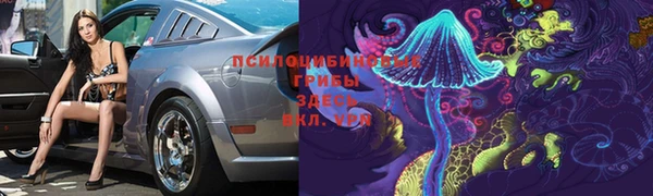 амф Беломорск