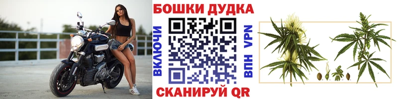 hydra   Вытегра  Бошки Шишки ГИДРОПОН 